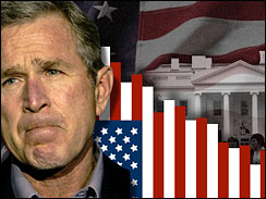 bush poll